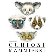 Curiosi Mammiferi