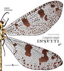 I segreti degli insetti.
