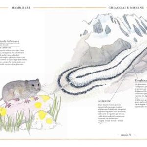 Inventario illustrato della montagna - immagine 3