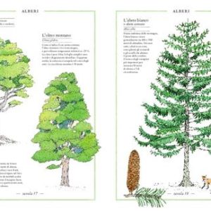 Inventario illustrato della montagna - immagine 4