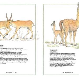 Inventario illustrato della preistoria - immagine 5