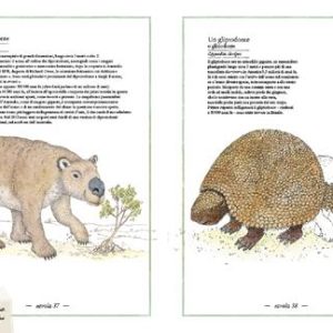 Inventario illustrato della preistoria - immagine 7